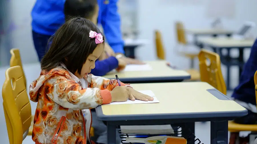 educacion pedagogia