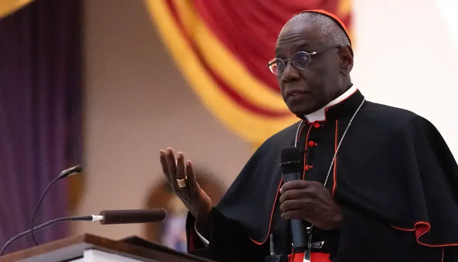 El cardenal Sarah denuncia en el Parlamento Europeo la «colonización ideológica» sobre África